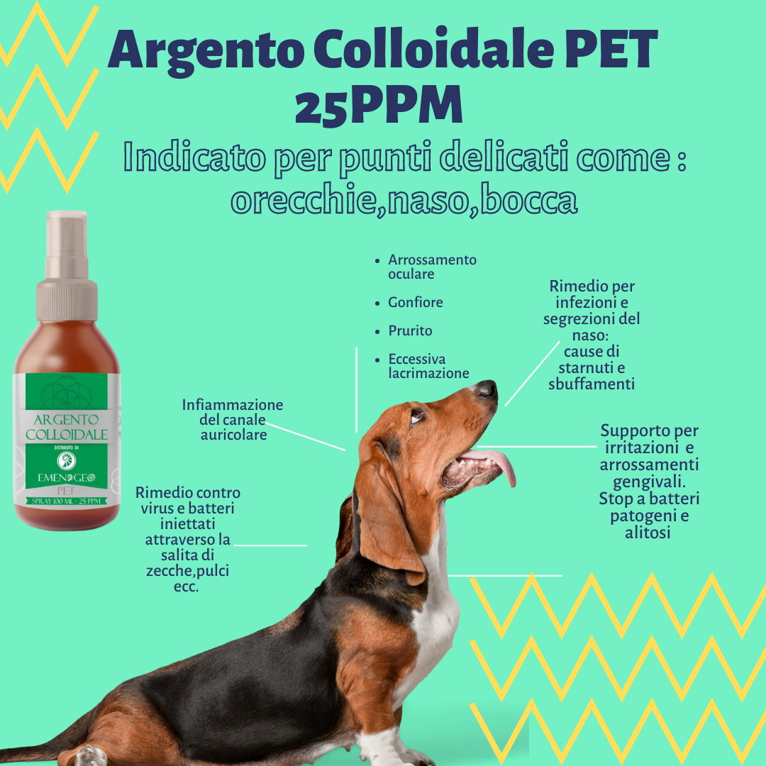 Argento Colloidale PET 25PPM (SPRAY 100ML)