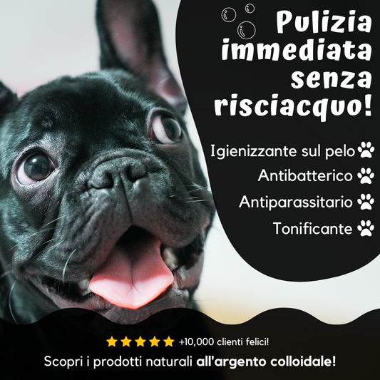 SHAMPOO SECCO BYBACTER Prezioso Argento per Animali (200ml)